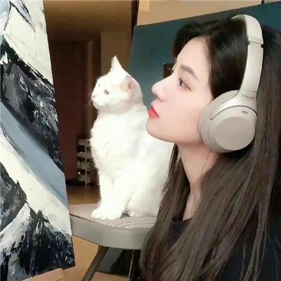 销售奇姬